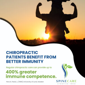Wellness-Window-Designs_4